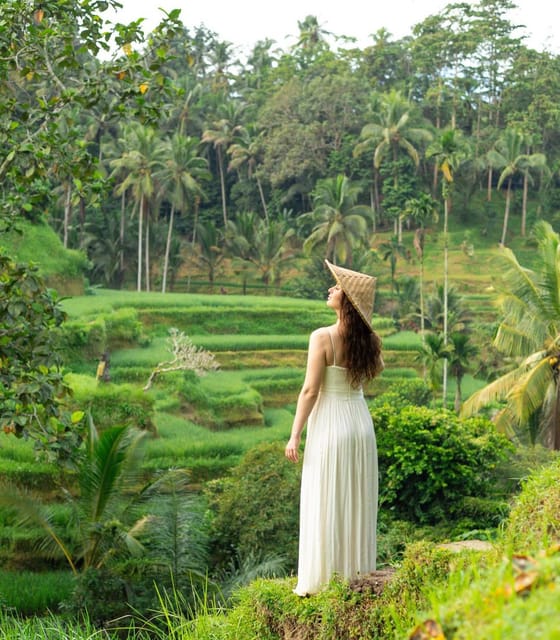 Private Ubud Tour With Professional Guide - Key Points