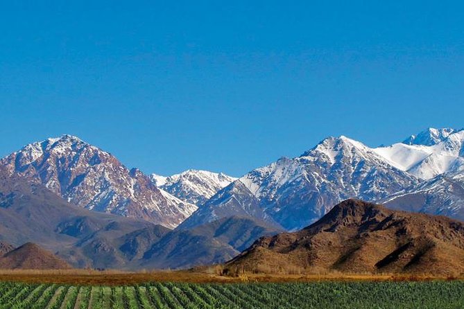Private Uco Valley Tour Including Lunch and Wine Tasting From Mendoza - Vineyard Tours and Tastings