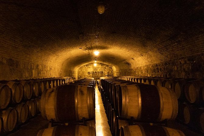 Private Uco Valley Tour Including Lunch and Wine Tasting From Mendoza - Private Transport and Pickup