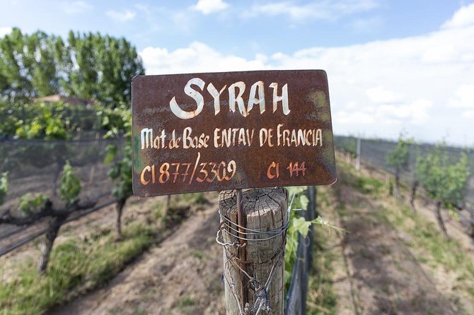 Private Uco Valley Tour Including Lunch and Wine Tasting From Mendoza - Wine Tasting Experiences