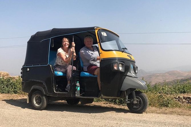 Private Udaipur Sightseeing Tour by Tuk-Tuk or Car With Driver - Salim, the Knowledgeable Driver