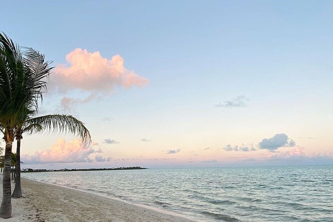 Private Ultimate Fish, Snorkel & Cruise 3/4 Day on Serendipity - What to Expect on the Tour