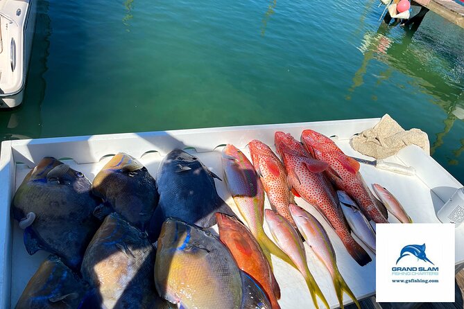 Private Ultimate Fish, Snorkel & Cruise 3/4 Day on Serendipity - Tips for the Perfect Day