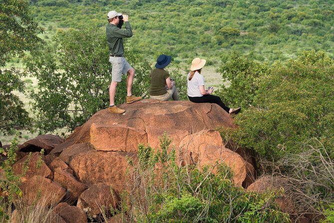 Private Ultimate Pilanesberg Safari From Johannesburg - Key Points