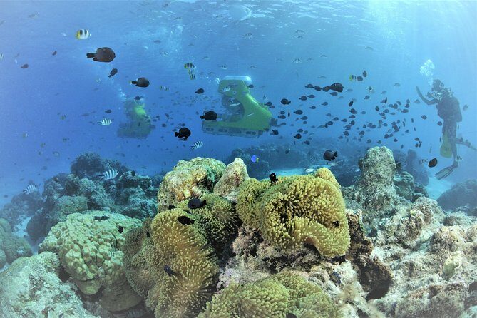 Private Underwater Scooter - What Real Travelers Say