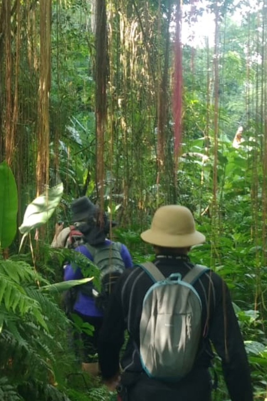 Private: Undisan Village Sacred Forest & Waterfall Trekking - Key Points