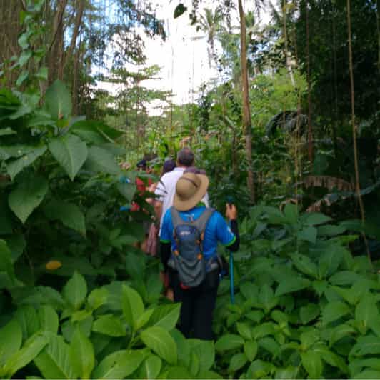 Private: Undisan Village Sacred Forest & Waterfall Trekking - Inclusions