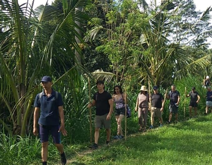 Private: Undisan Village Sacred Forest & Waterfall Trekking - Depart From Hotel