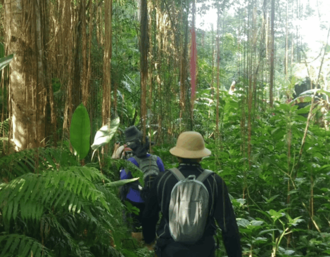 Private: Undisan Village Sacred Forest & Waterfall Trekking - Local Restaurant Visit
