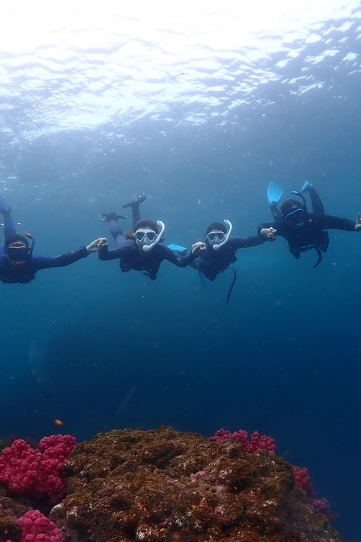 Private Unforgatable Snorkeling Day Trip in Izu (Shizuoka) - Key Points