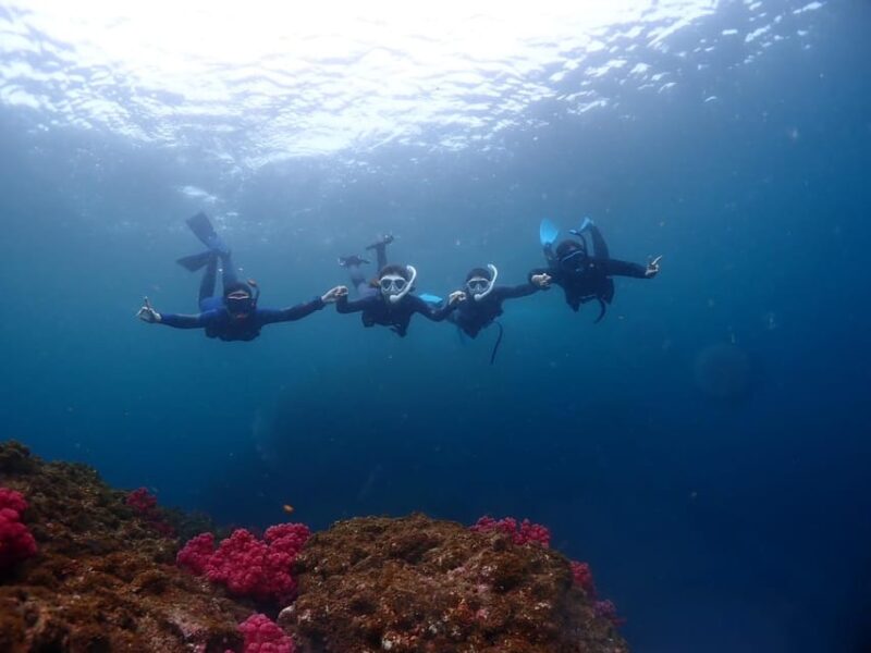 Private Unforgatable Snorkeling Day Trip in Izu (Shizuoka) - What to Expect