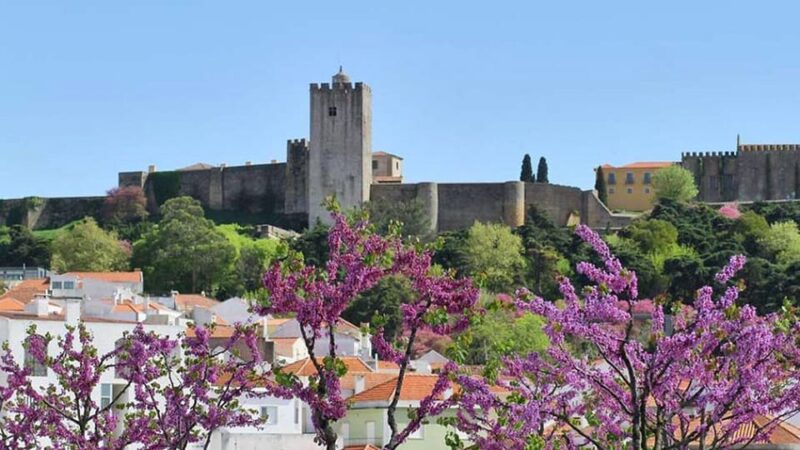 Private Unforgettable Full Day Tour in Arrábida - Pickup Location and Duration
