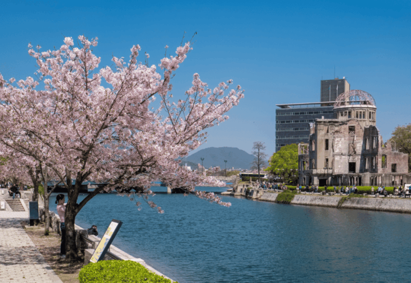Private & Unique Hiroshima Cherry Blossom Sakura Experience - Key Points