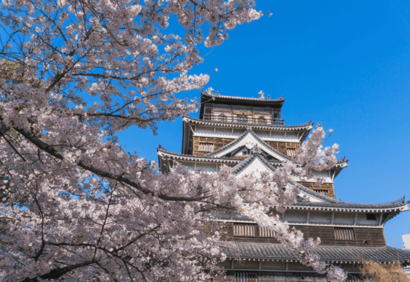 Private & Unique Hiroshima Cherry Blossom Sakura Experience - Gastronomic Exploration