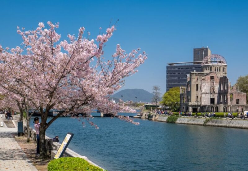 Private & Unique Hiroshima Cherry Blossom Sakura Experience - Personalized Itinerary
