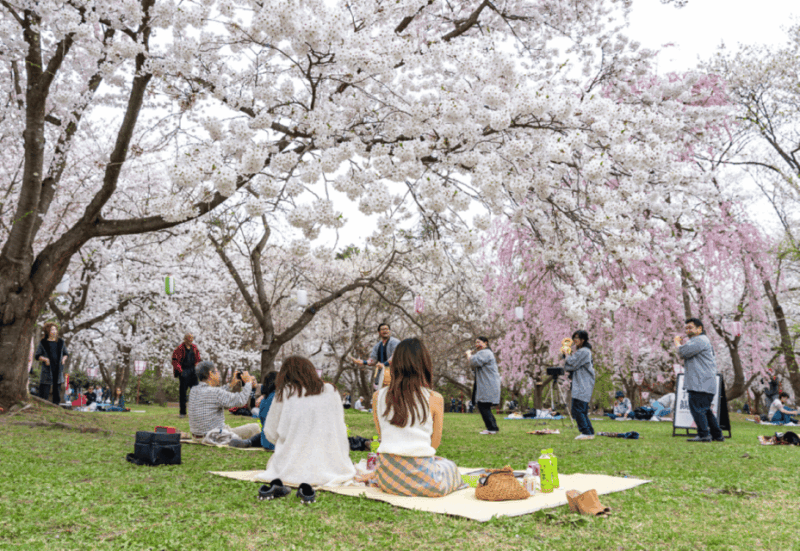 Private & Unique Kanazawa Cherry Blossom Sakura Experience - Exploring Kanazawas Sakura Spots