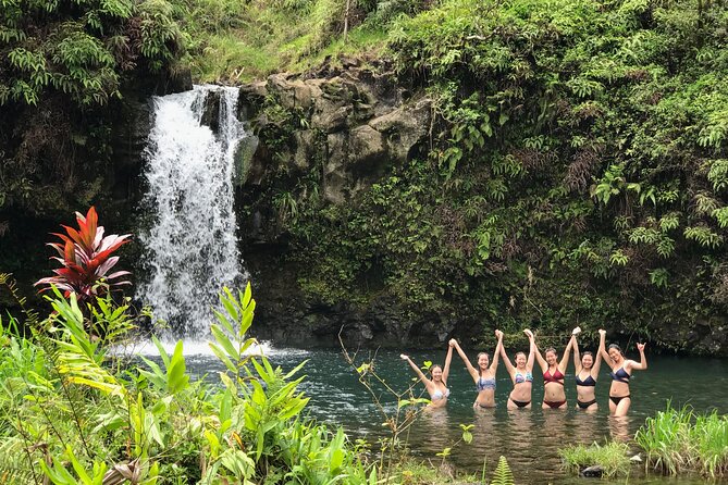 Private Unique Road to Hana Adventure - Professional Guide and Safety Protocols
