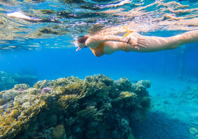 Private Unspoiled South Crete Tour W/ Hidden Paths & Beaches - Authentic Cretan Meal