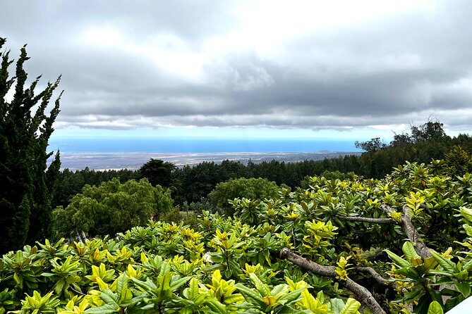 Private Upcountry Farm Tour on Maui - Meeting and Pickup