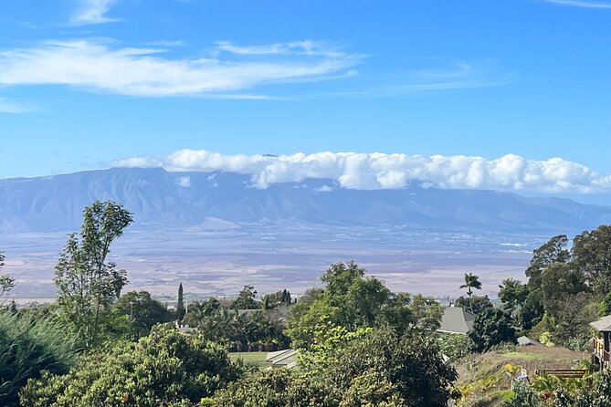 Private Upcountry Farm Tour on Maui - Health and Accessibility