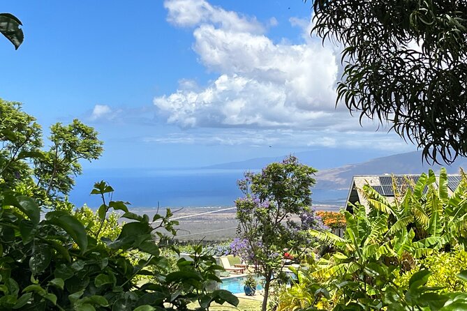 Private Upcountry Farm Tour on Maui - Highlights of the Tour