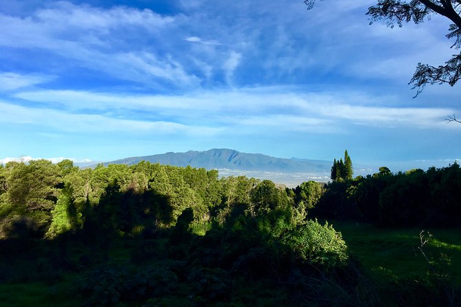 Private Upcountry Maui Tour - Key Points