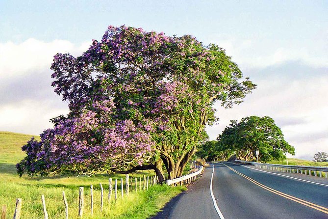 Private Upcountry Maui Tour - Itinerary and Stops