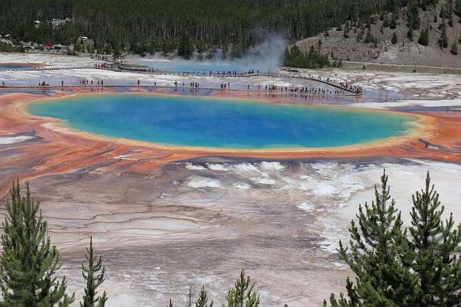 Private Upper Loop Grand Teton, Lower Loop Scenic & Wildlife 3 Day Tours - Sightings of Wildlife