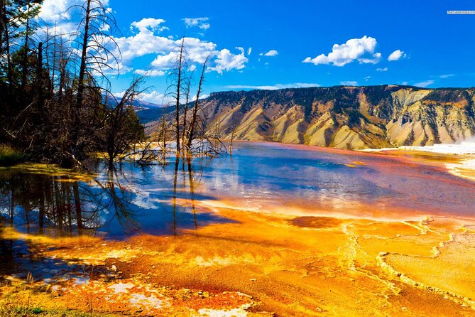 Private Upper Loop Tour of Yellowstone National Park - Inclusions and Amenities