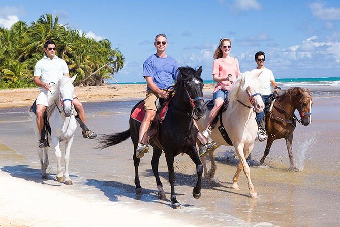 Private V.I.P Sightseeing, Shopping and Beach Tour - Accommodating Service and Comfort