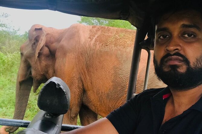 Private Van / Car & Driver for 10 Days Tour in Sri Lanka - Itinerary: Negombo and Kandy