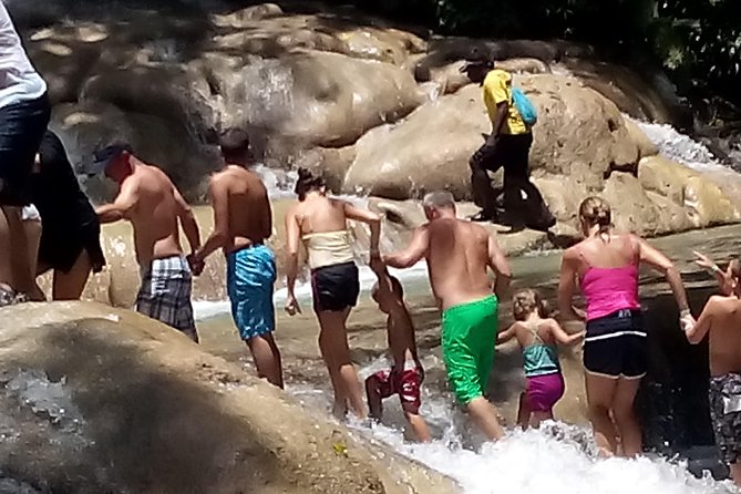 Private Van Ocho Rios Custom Sightseeing Tours - Family-Friendly Experiences