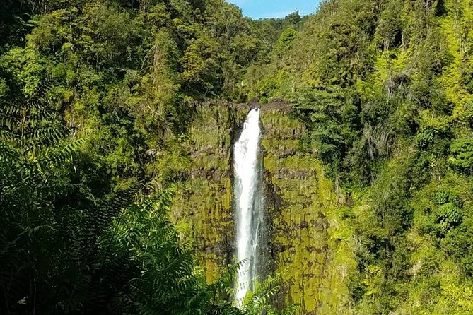 Private VAN Tour Kona - Panoramic Views at Waipio Valley