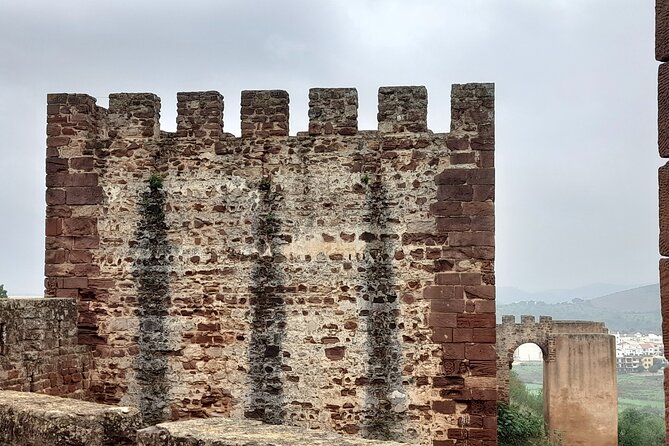 Private Van Tour To Silves Castle and Monchique Mountain - Transportation and Convenience
