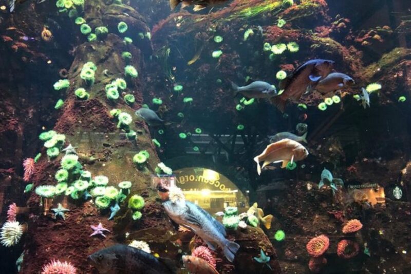 Private Vancouver Aquarium and Bloedel Conservatory Tour - Tour Features