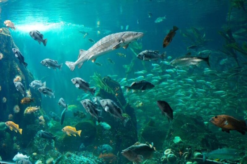 Private Vancouver Aquarium and Bloedel Conservatory Tour - Booking Information