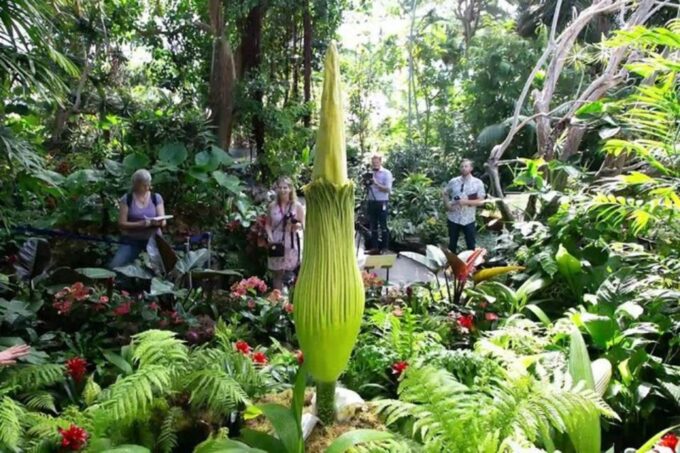 Private Vancouver Aquarium and Bloedel Conservatory Tour - Duration and Price