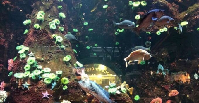 Private Vancouver Aquarium and Bloedel Conservatory Tour - Cancellation Policy