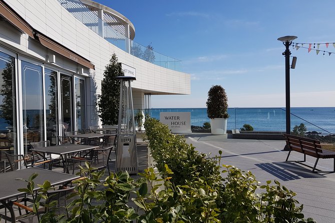 (Private Vehicle) Busan Tailored Tour: Curation for Food,Design,History,Culture - Coralani Cafe Experience