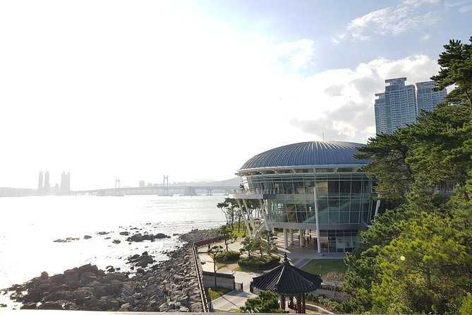 (Private Vehicle) Busan Tailored Tour: Curation for Food,Design,History,Culture - Songdo Bay Station