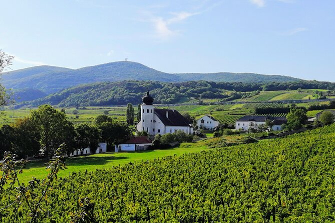 Private Vienna Woods Wine Tour - Meeting Point and Logistics