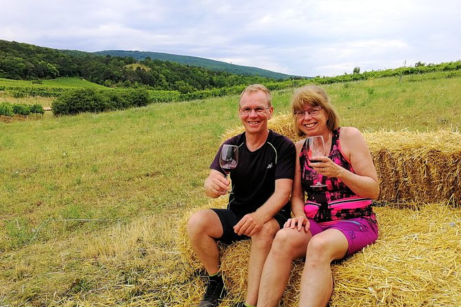 Private Vienna Woods Wine Tour - Frequently Asked Questions