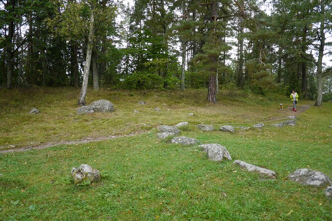 Private Viking Tour by a Lake + Swedish Nature Forest Walk, 90MIN - What to Expect