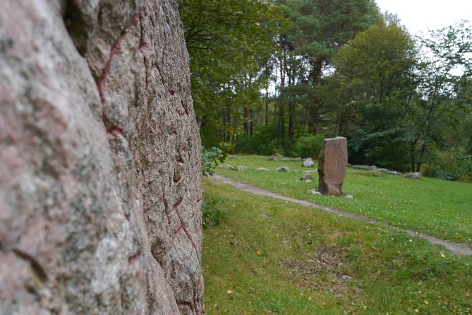 Private Viking Tour by a Lake + Swedish Nature Forest Walk, 90MIN - Since You Asked
