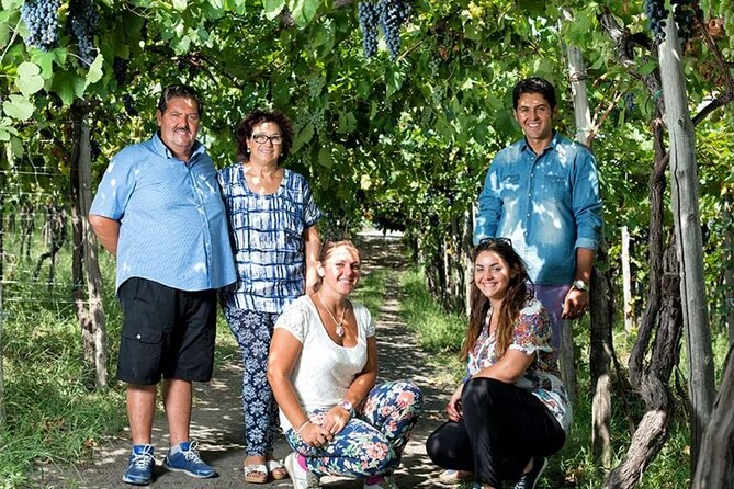 Private Vineyard Tour and Lunch With Dedicated Sommelier and Private Trasport - Transportation Options