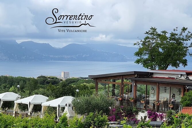 Private Vineyard Tour and Lunch With Dedicated Sommelier and Private Trasport - Customer Ratings and Feedback