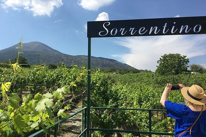 Private Vineyard Tour and Lunch With Dedicated Sommelier and Private Trasport - Accessibility and Accommodations