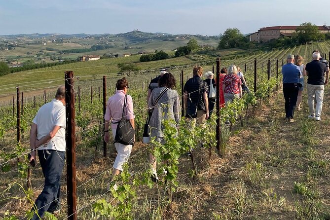 Private Vineyards Tour & Wine Tasting in Collio and Udine - Key Points