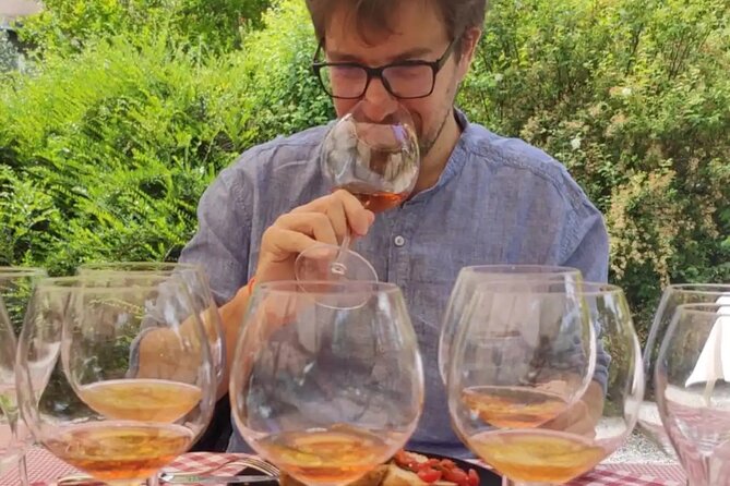 Private Vineyards Tour & Wine Tasting in Collio and Udine - Cancellation Policy