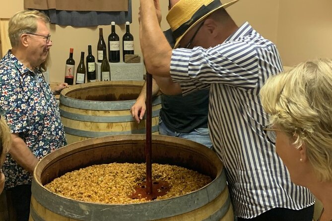 Private Vineyards Tour & Wine Tasting in Collio and Udine - Exclusive Wine Tasting
